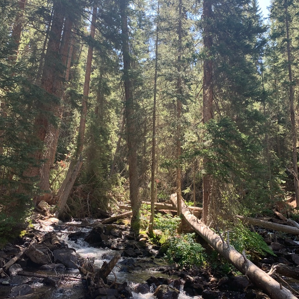 Meet your Posher, Bianca